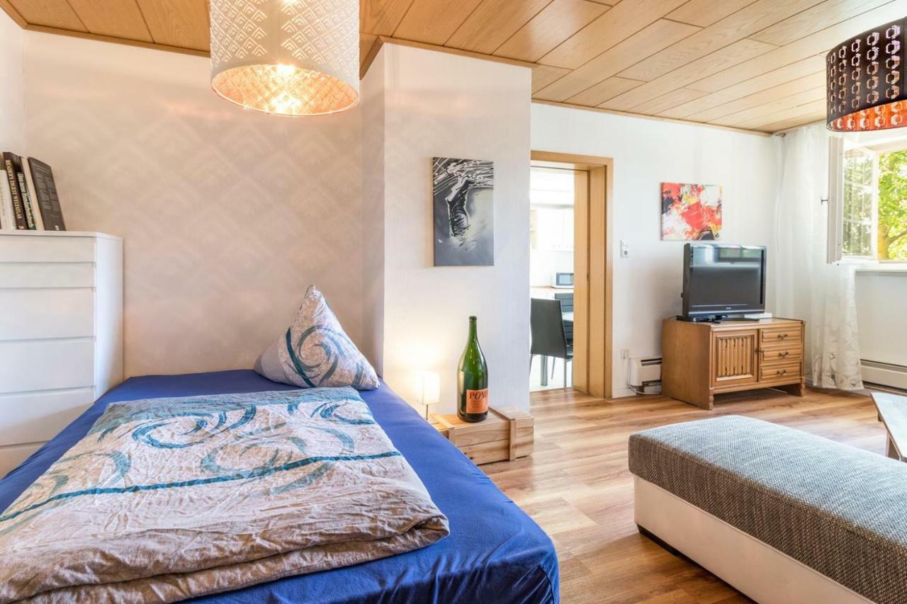 Wörrstadt Villa-Doerr 100 M² + 1500M² Garten מראה חיצוני תמונה